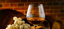 Коньяк: особенности и советы выбора алкогольного напитка